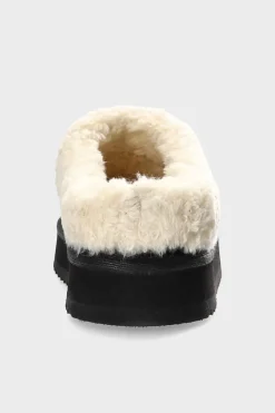 Cph248 Botalato><noscript><img width=