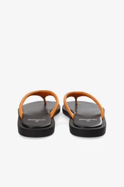 Cph791 Nappa><noscript><img width=