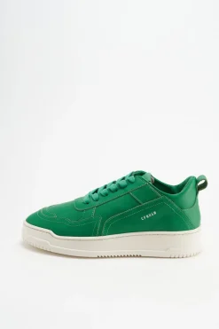 Cph161 Vitello><noscript><img width=