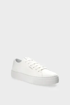 Cph7 Vitello><noscript><img width=