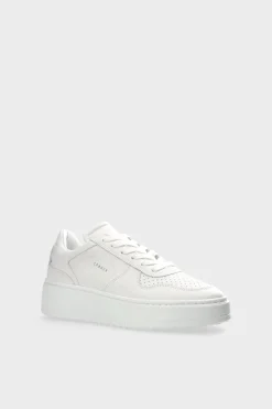 Cph71 Vitello><noscript><img width=