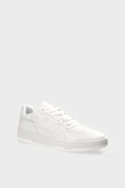 Cph462M Vitello><noscript><img width=